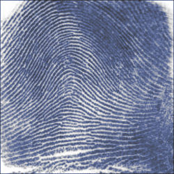 fingerprint file naming example